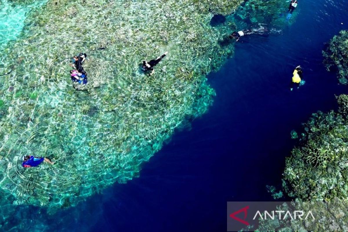Indonesia strengthens global collaboration in high seas protection