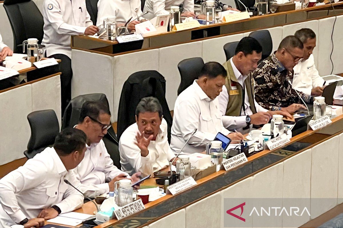 Bulog CEO says paddy procurement equivalent to rice reaches 1.6 million tonnes