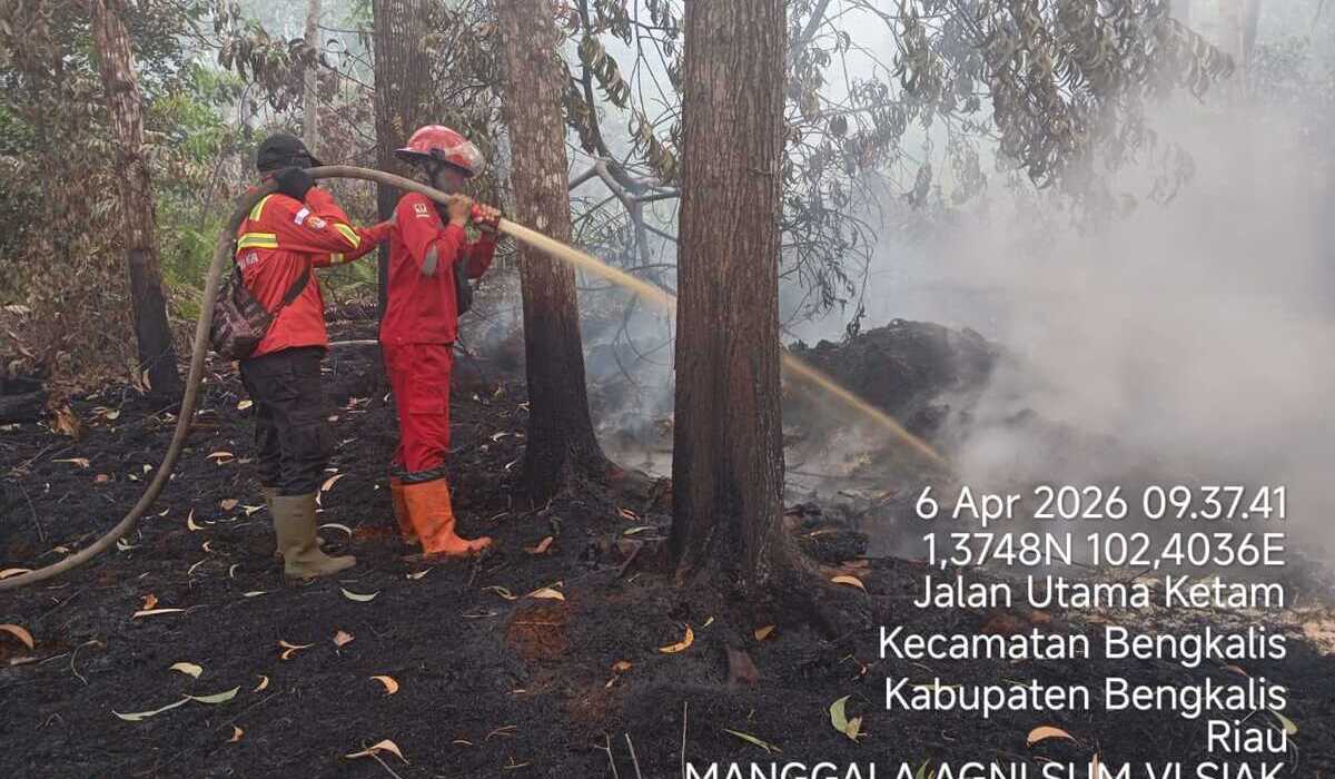 Efforts to Extinguish Forest and Land Fires in Bengkalis, Riau, Continue to be Intensified