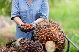 PASPI Appreciates BPDP's Commitment to Palm Oil Research