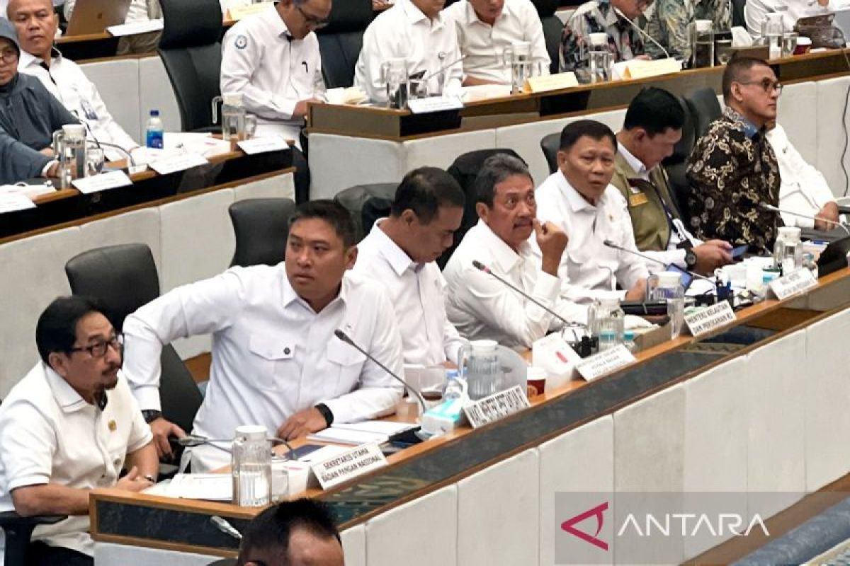 Pupuk Indonesia CEO: Fertiliser Stock Unaffected by Strait of Hormuz Conflict