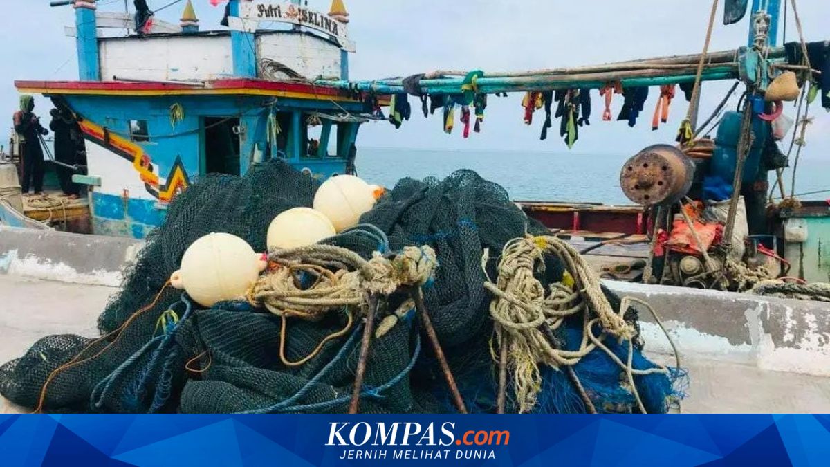 Kiara Highlights Legalisation of Nets Similar to Cantrang, Fishermen's Catch Declines