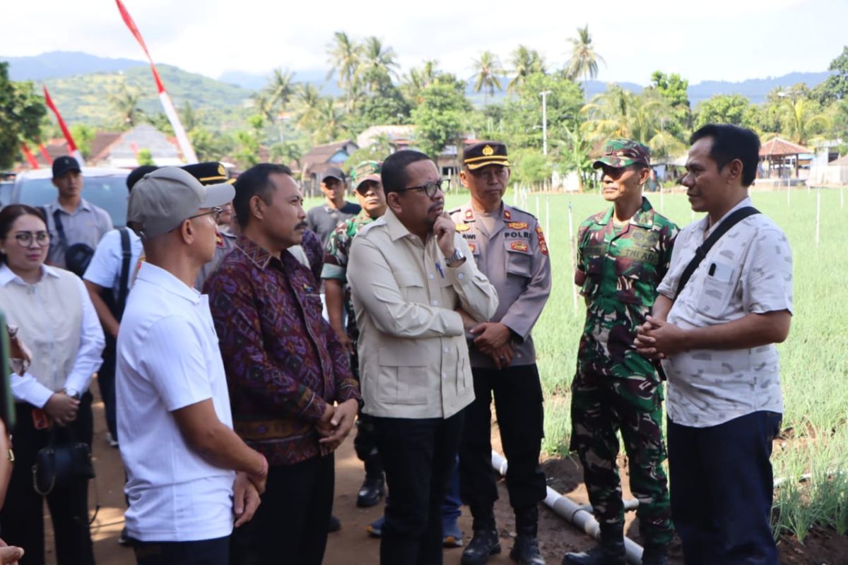 KSP Visits Onion Farming Centre in Buleleng, Bali