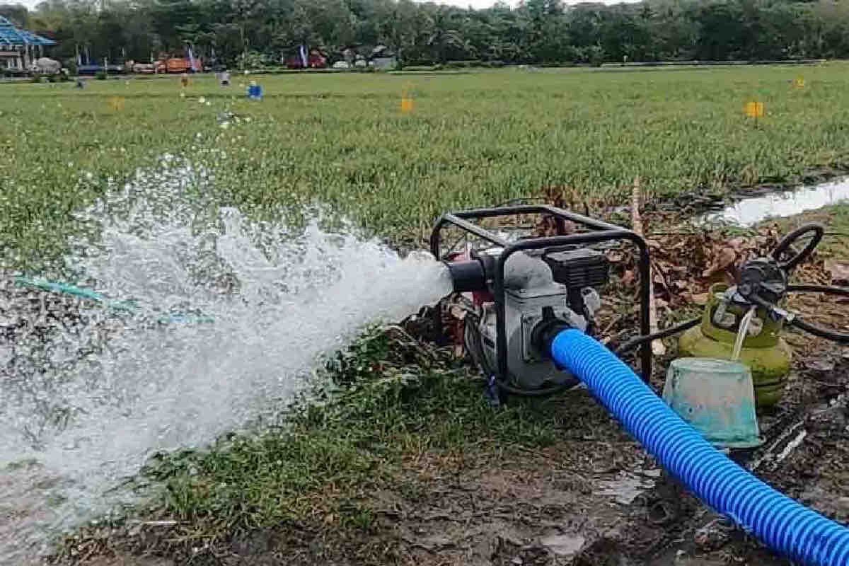 Rp4 Trillion Allocated for Irrigation Pumps to Combat El Niño