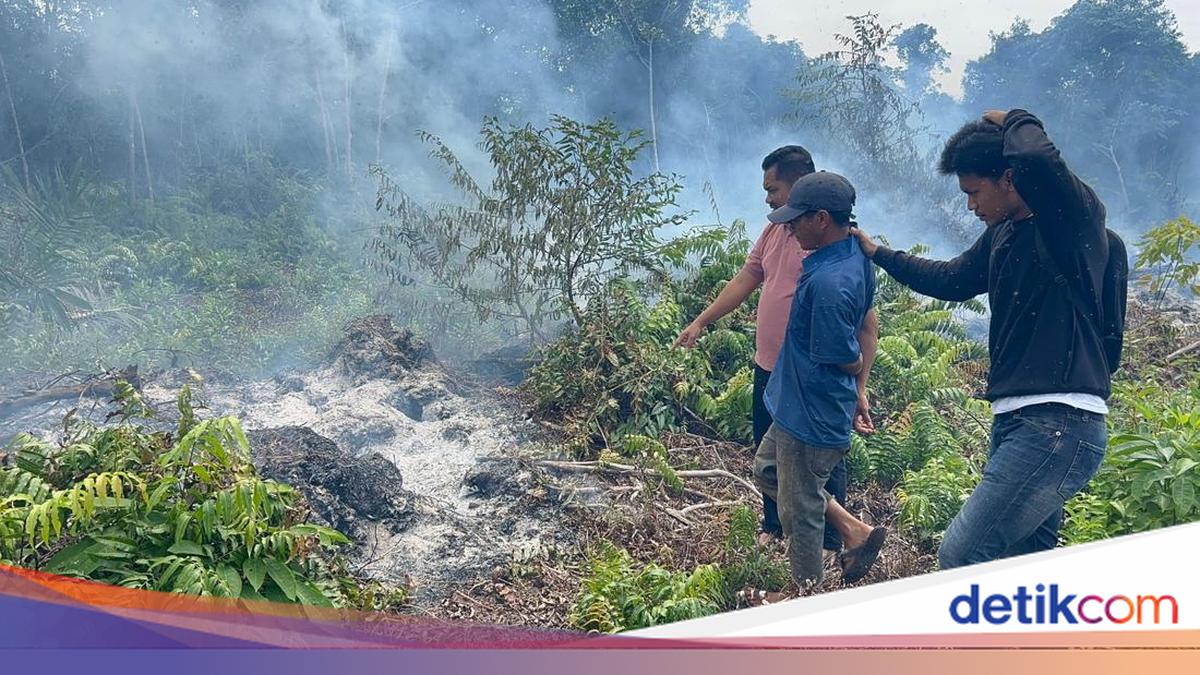 Bengkalis Police Act Swiftly to Extinguish Land Fire, Perpetrator Detained