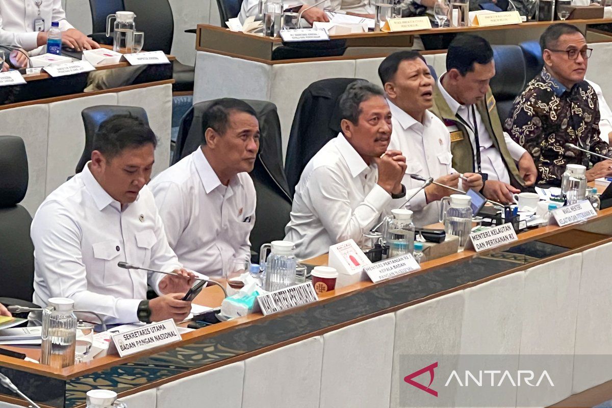 Indonesia achieves protein and carbohydrate self-sufficiency: Bapanas