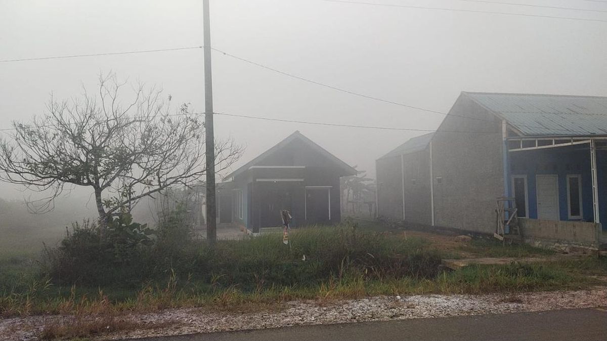 Riau Forest and Land Fires: Flames Approaching Residents' Settlements in Bengkalis