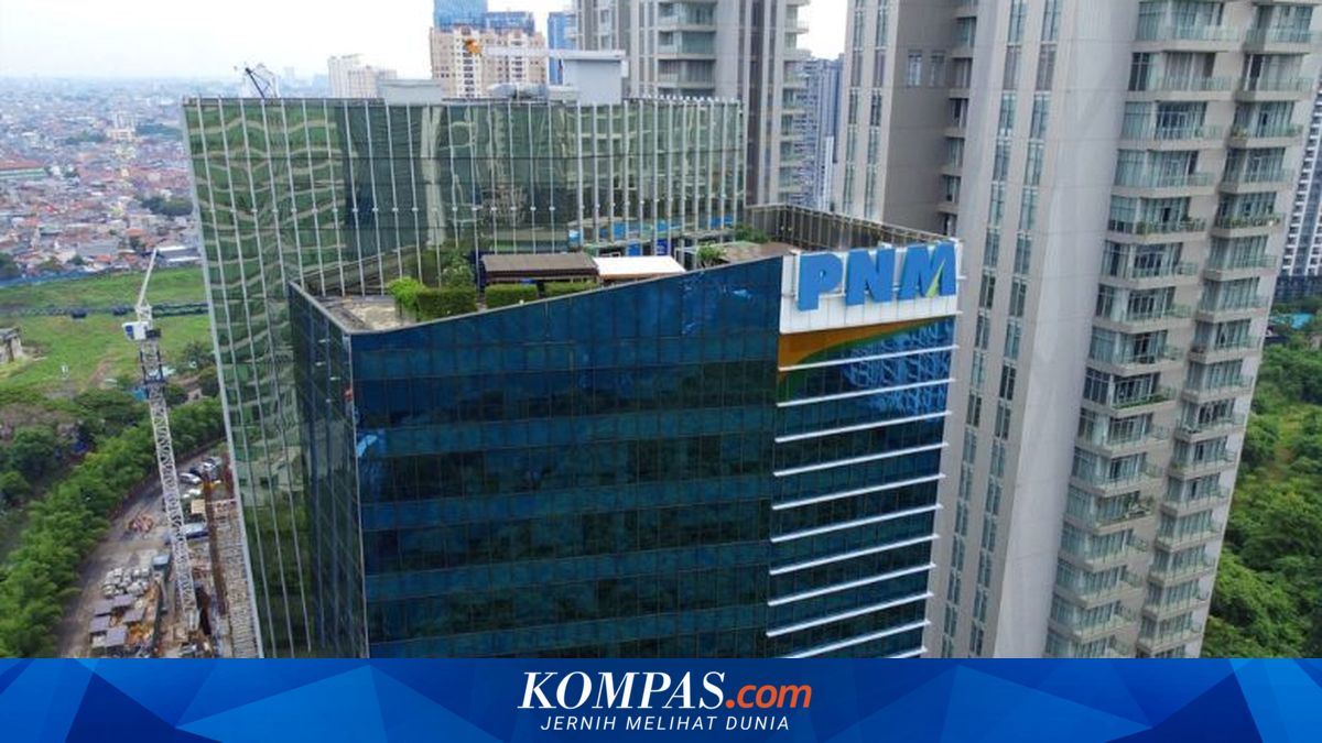 Proposal to Transform PNM into SME Bank Could Expand Credit Access but Poses High Risks