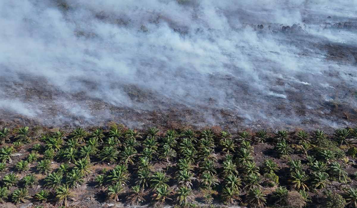 The Track Record of Godzilla El Niño: History of Extreme Droughts in Indonesia Before 2026