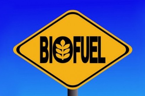 These Two Regulations Become the New Foundation for Biofuel Development
