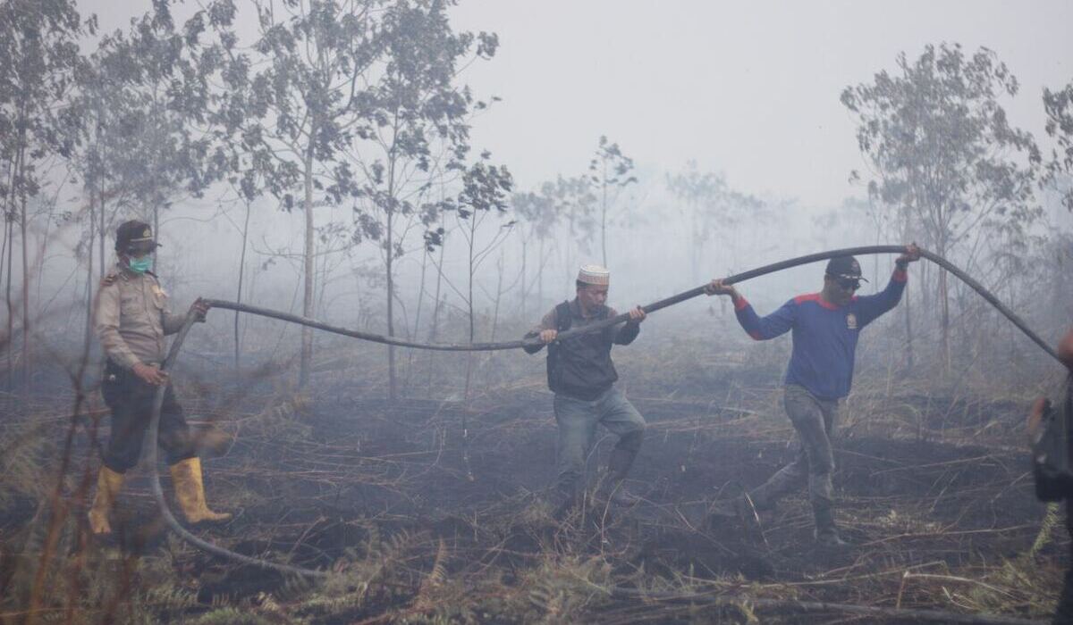 The 2015 Forest and Land Fire Tragedy: Examining the Extent of Land Burned Due to Godzilla El Niño