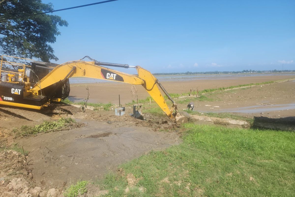 Ministry of Agriculture rehabilitates 1,093 hectares of rice fields affected by disaster in North Aceh