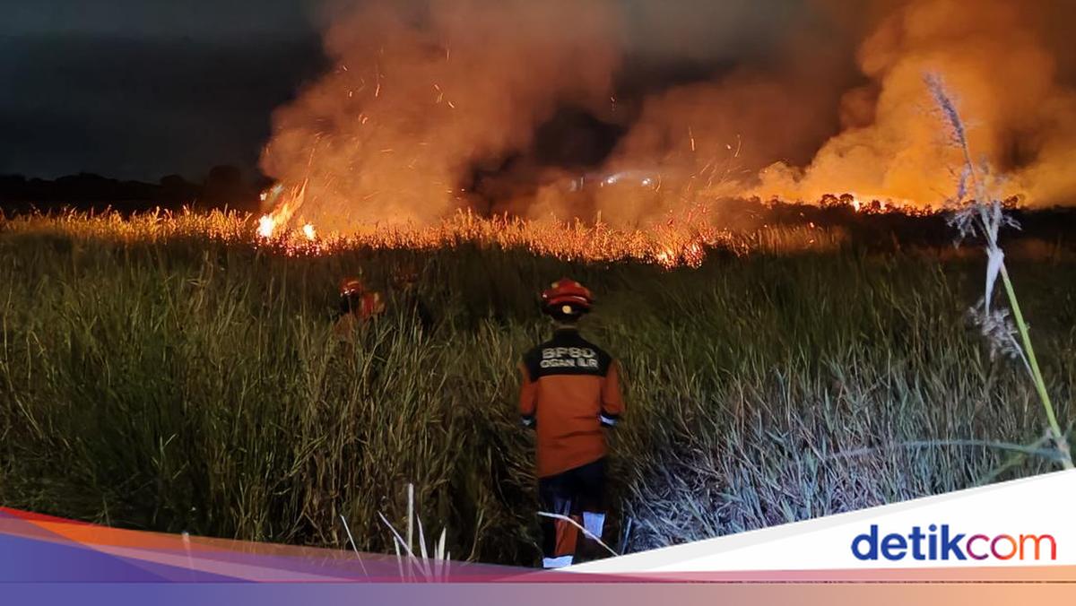 Potential for 2026 Forest and Land Fires Starting in June, BMKG's Mitigation Steps