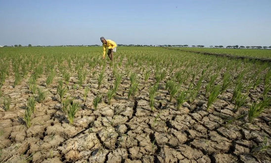 El Niño Intensity in East Java Decreases, 2026 Dry Season Predicted to Be More Manageable