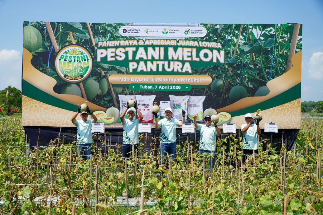 Pestani Programme Boosts Melon Farmers' Productivity in Pantura