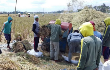 Prolonged Dry Season Feared to Disrupt Agricultural Production