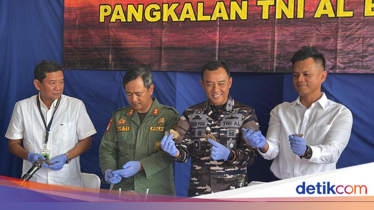 Indonesian Navy Thwarts Pangolin Scale Smuggling Worth Rp 46.8 Billion in Banten Waters