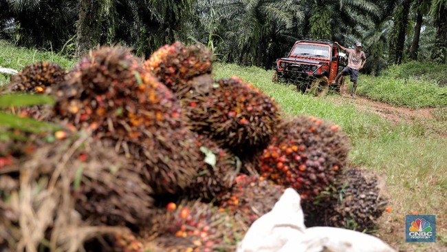 Bakrie Palm Oil Issuer (UNSP) Profits Surge 86%, Here's Why