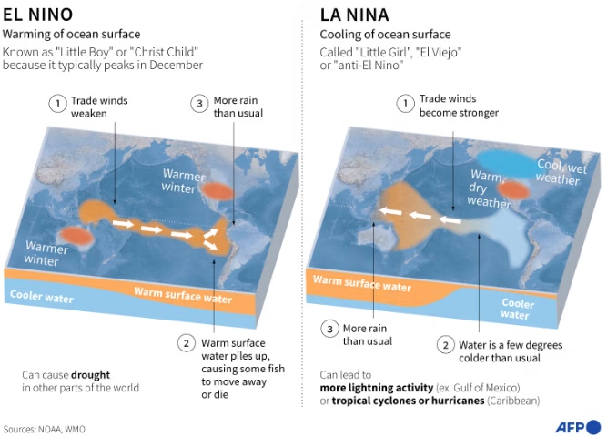 Climate Crisis Accelerates El Niño Cycle, Indonesia Faces Drought Threat