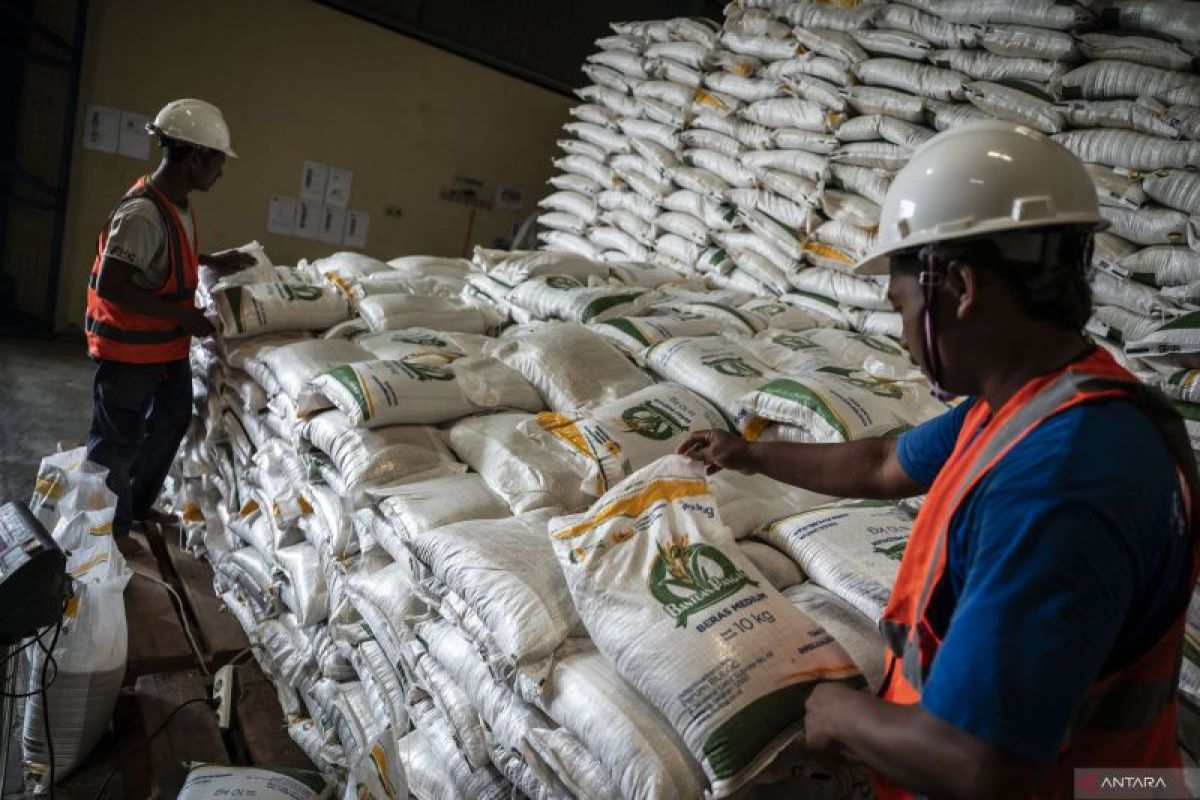 Behind the Surge in Rice Stocks and the Future of Food Security