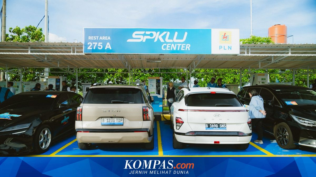 Electric Vehicle Prices Still Deemed Too High, Consumers Hesitant to Switch