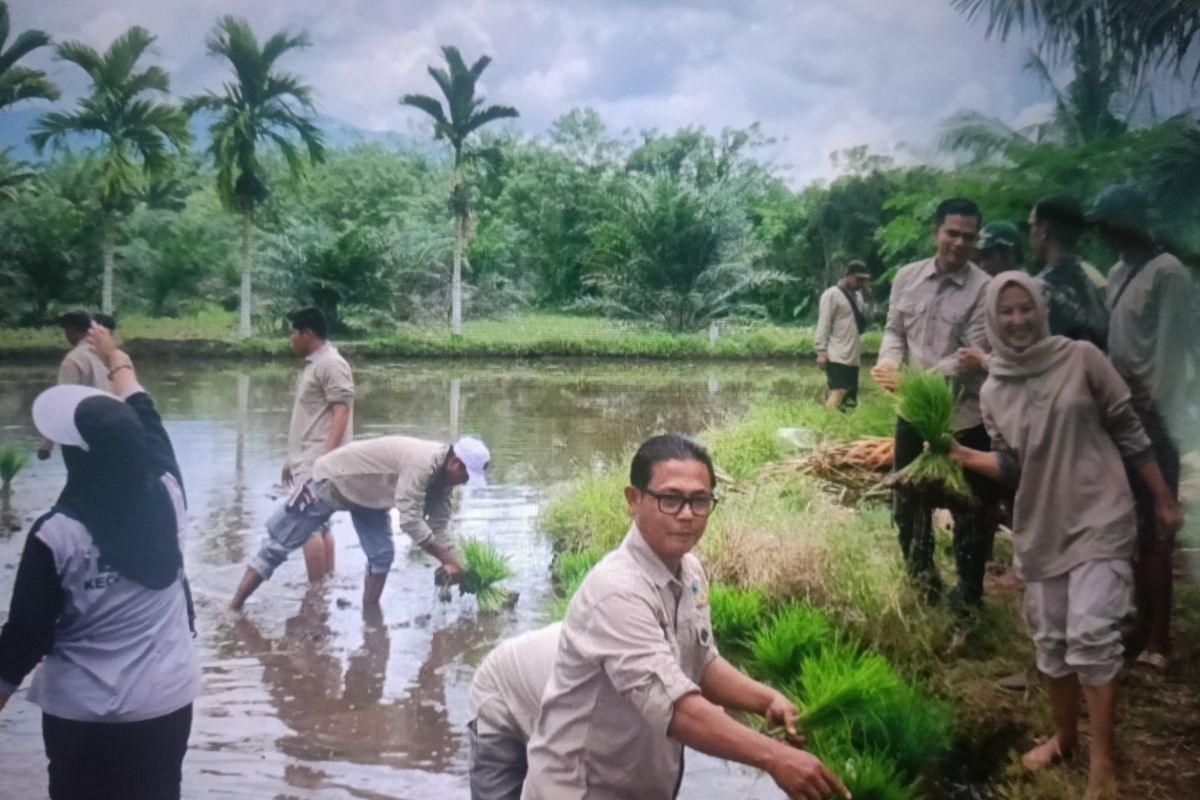 West Pasaman Regency disburses Rp13.5 billion in village funds to 90 nagari