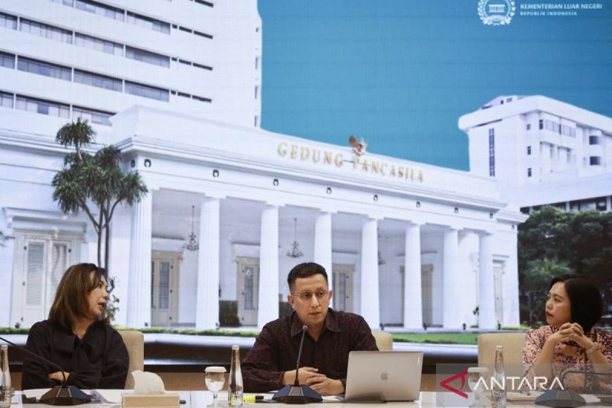 Indonesia continues D-8 chairmanship agenda despite postponed summit