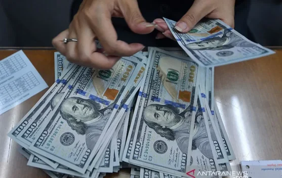 Indonesia's Forex Reserves in March 2026 Decreased but Remain High: BI