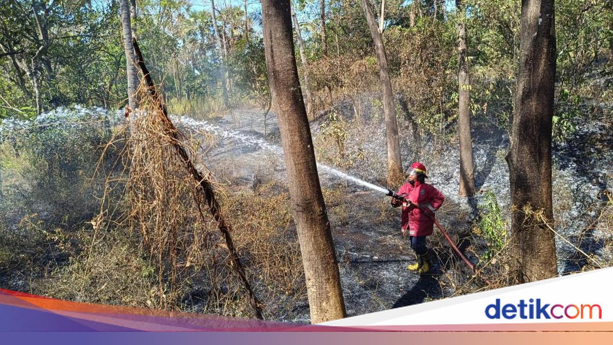 Bali's BPBD Maps Forest and Land Fire Potential During Dry Season, Karangasem Most at Risk