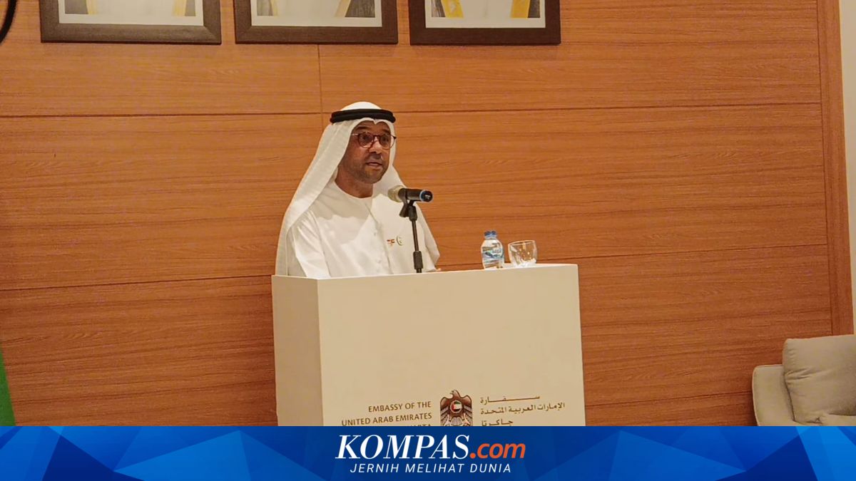 UAE Ambassador's Response to US-Israel-Iran Ceasefire: We Do Not Want Escalation