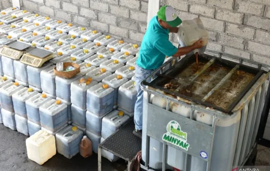 Indonesia Strengthens Energy Security Through Biofuel Policies