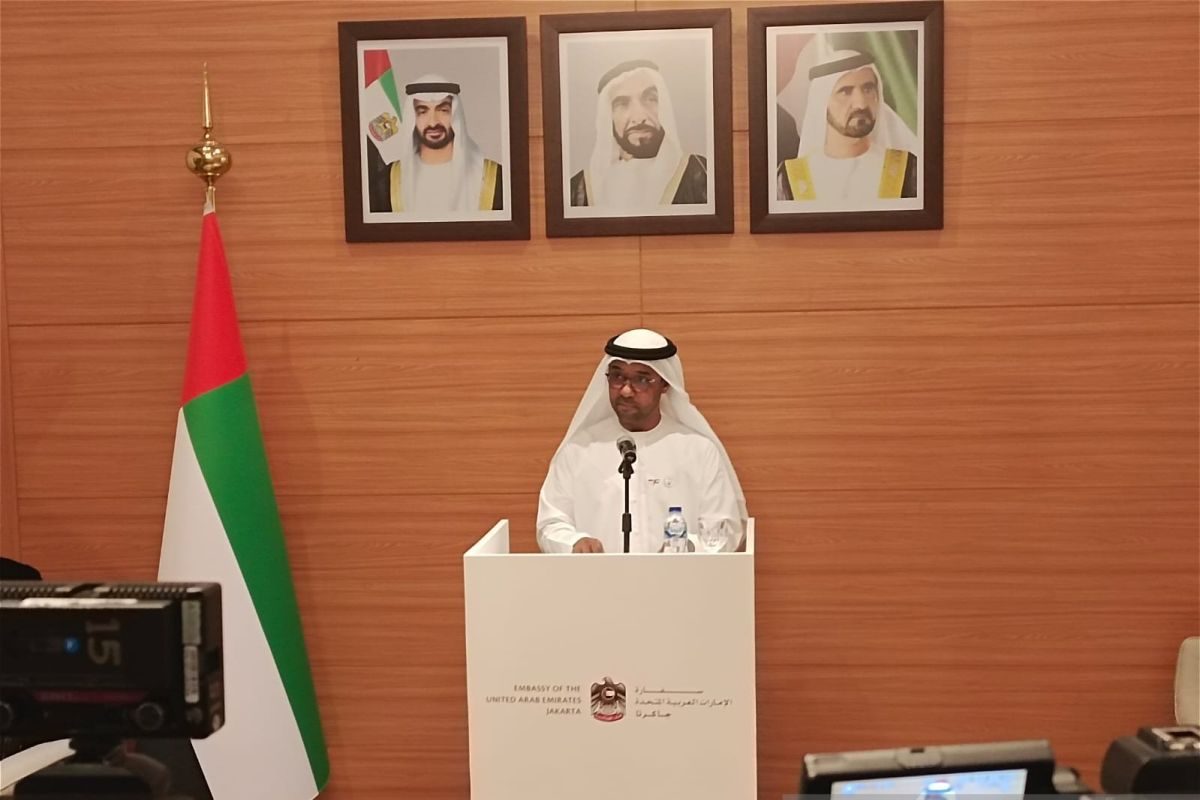 UAE Ambassador: Gulf States and Jordan Continue to Push for Regional Peace