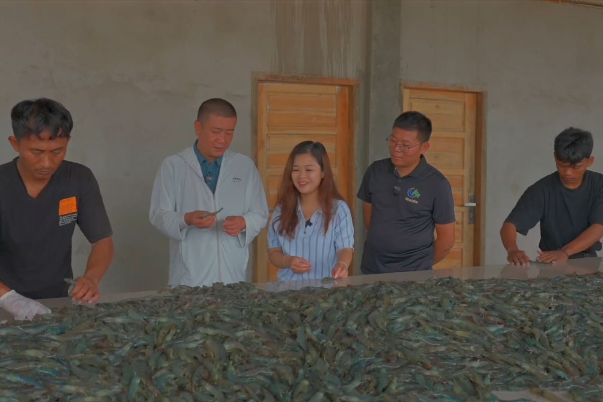 From Shrimp Ponds to New Hopes: The Trail of China-Indonesia Blue Economy Cooperation