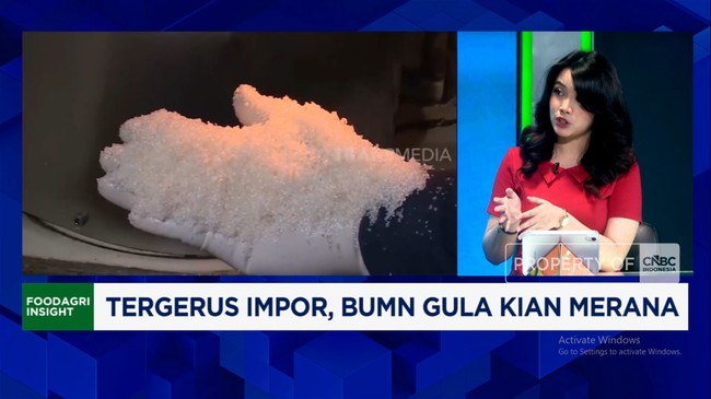 Video: State-Owned Sugar Company Suffers Rp 680 Billion Loss Due to Flood of Sugar Imports