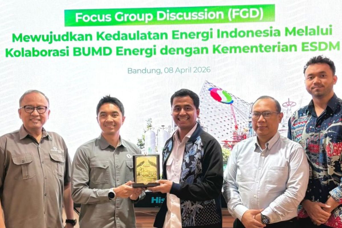 TAM ESDM: Strengthening production-distribution key to energy resilience