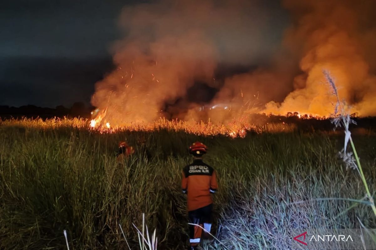 BNPB: Fire Destroys 10 Hectares of Peatland in Ogan Ilir, South Sumatra