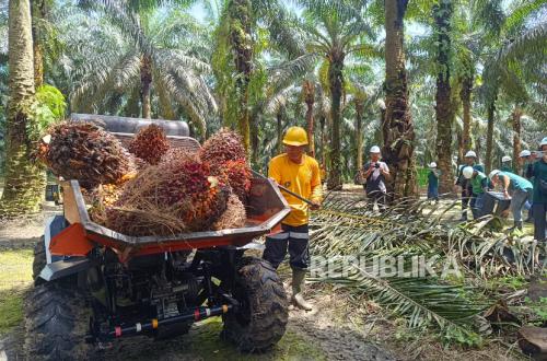 Association Views BPDP as Contributing to the Development of National Palm Oil Human Resources