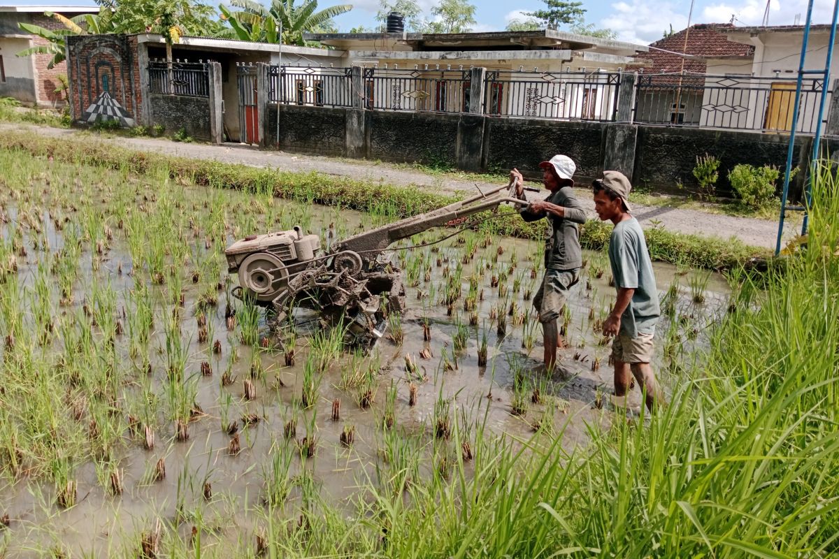 Dispelling Drought Concerns