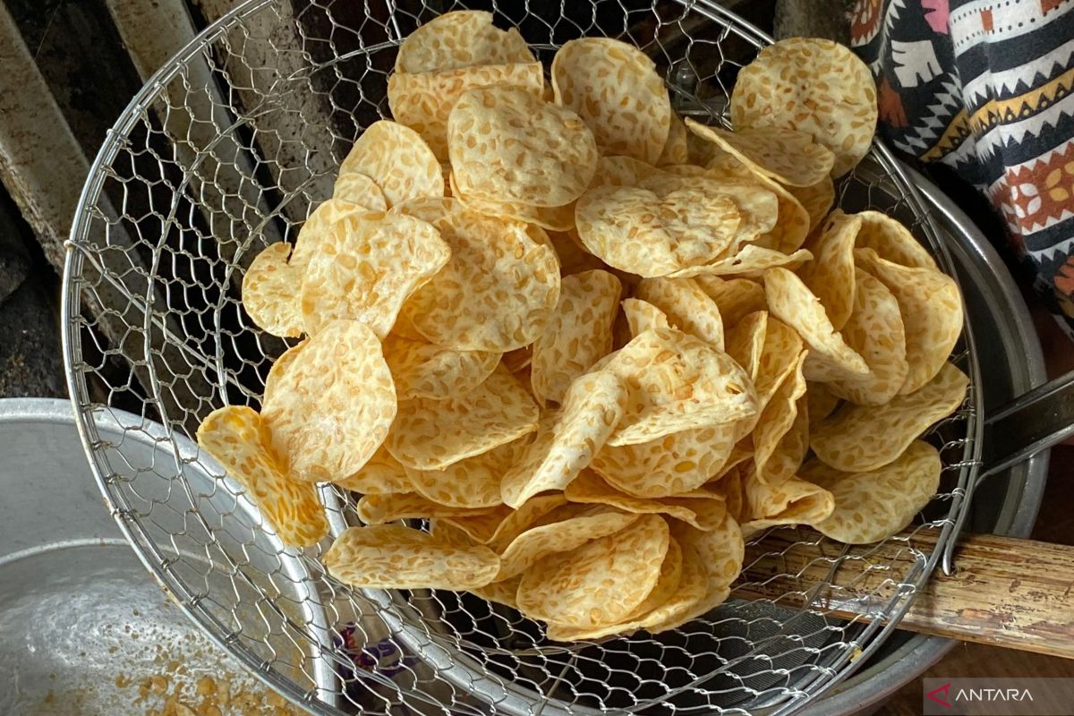 Tempe Producers Urge Government to Strengthen Local Soybean Production to Reduce Imports