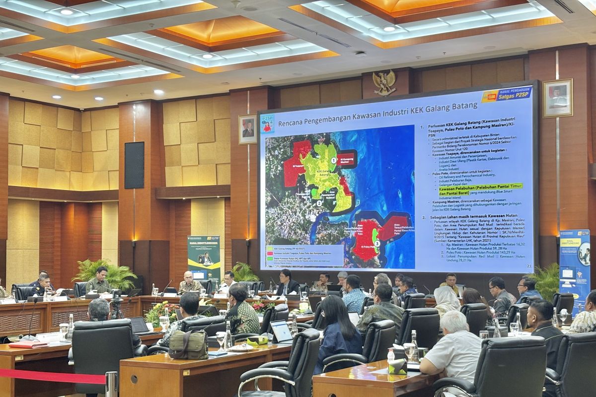 Finance Minister Purbaya Follows Up on KEK Galang Batang Permit Obstacles