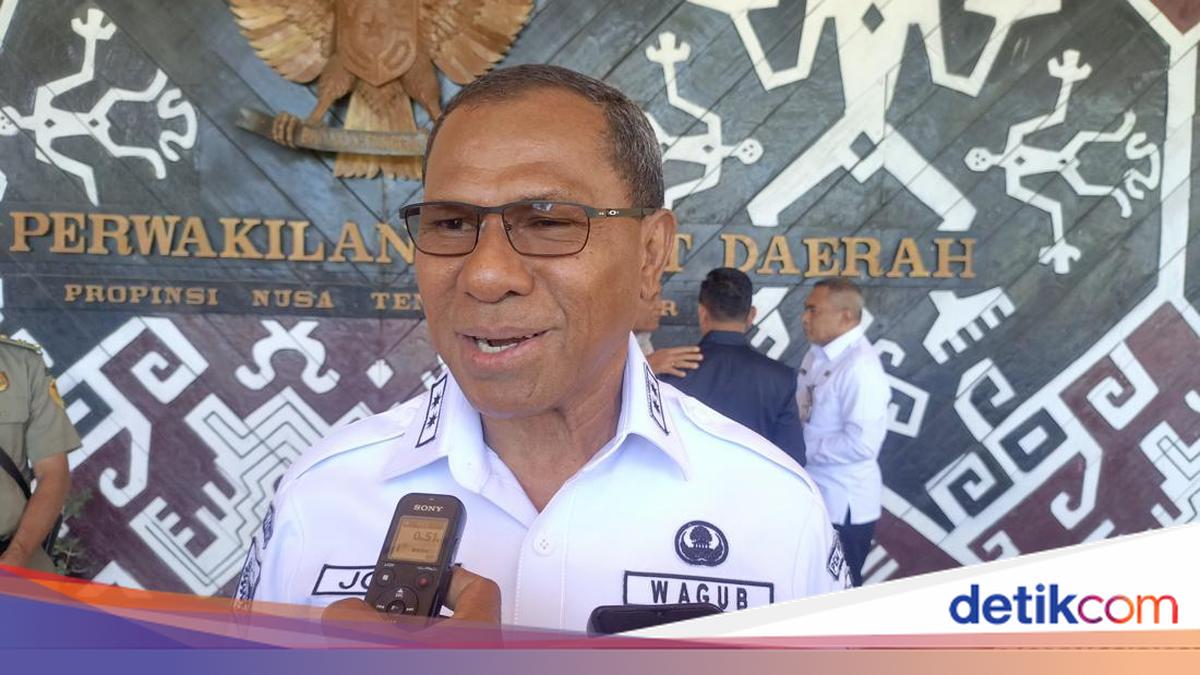 NTT Deputy Governor Urges Komodo National Park Authority to Collaborate with Police on Komodo Theft Investigation