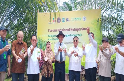 Tanzanian Pollinating Insects Released, Palm Oil Productivity Boosted Through Biological Innovation