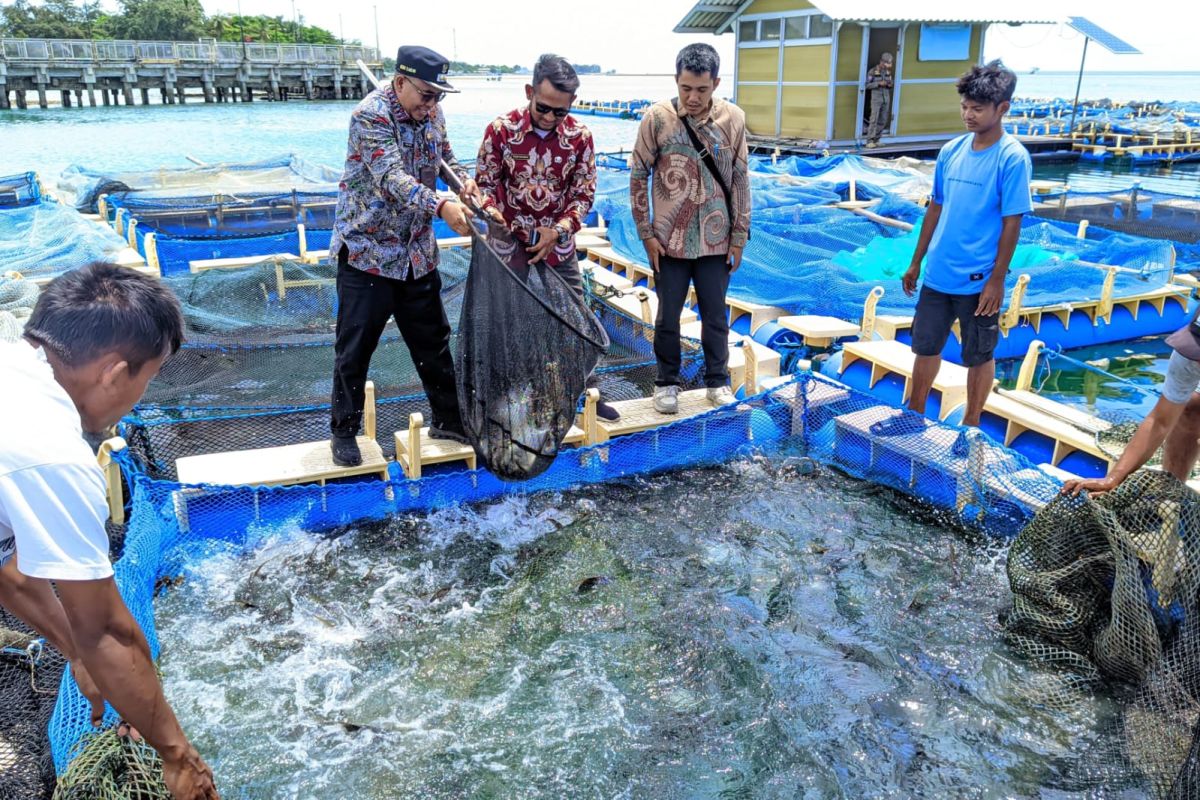 Thousand Islands Deputy Regent Urges Public to Boost Ecological Awareness