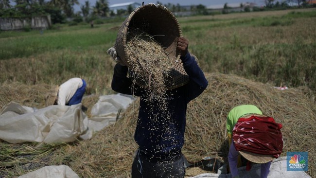 Super El Niño and Iran War Threaten, Food "Apocalypse" Looms