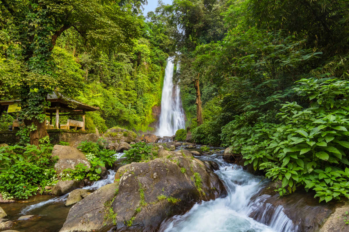 Major Landslides in North Bali’s Tourist Waterfall Paradise Isolate 27 Families