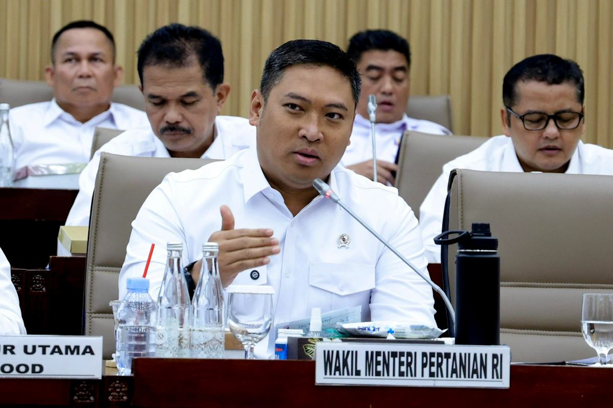 Deputy Agriculture Minister pushes for tighter import controls and strengthened sugar downstreaming