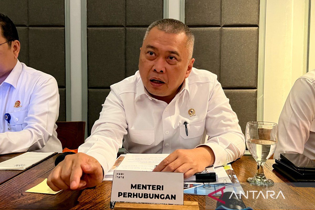Transport Minister states that 11 airports in Papua that were temporarily closed are now operational again