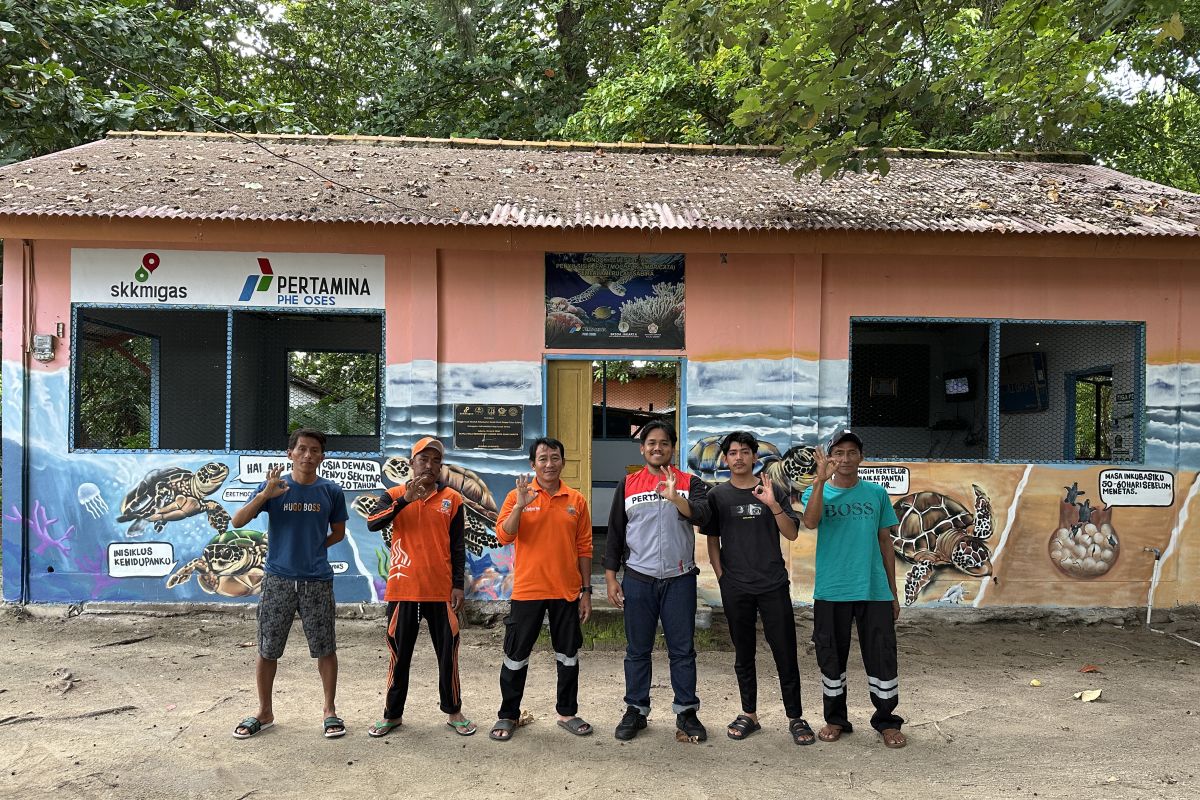 Pertamina Utilises Technology for Hawksbill Turtle Conservation