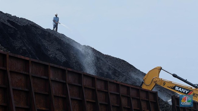 Trump, China, and Italy Provide Desperate Support, Yet Coal Prices Continue to Plunge