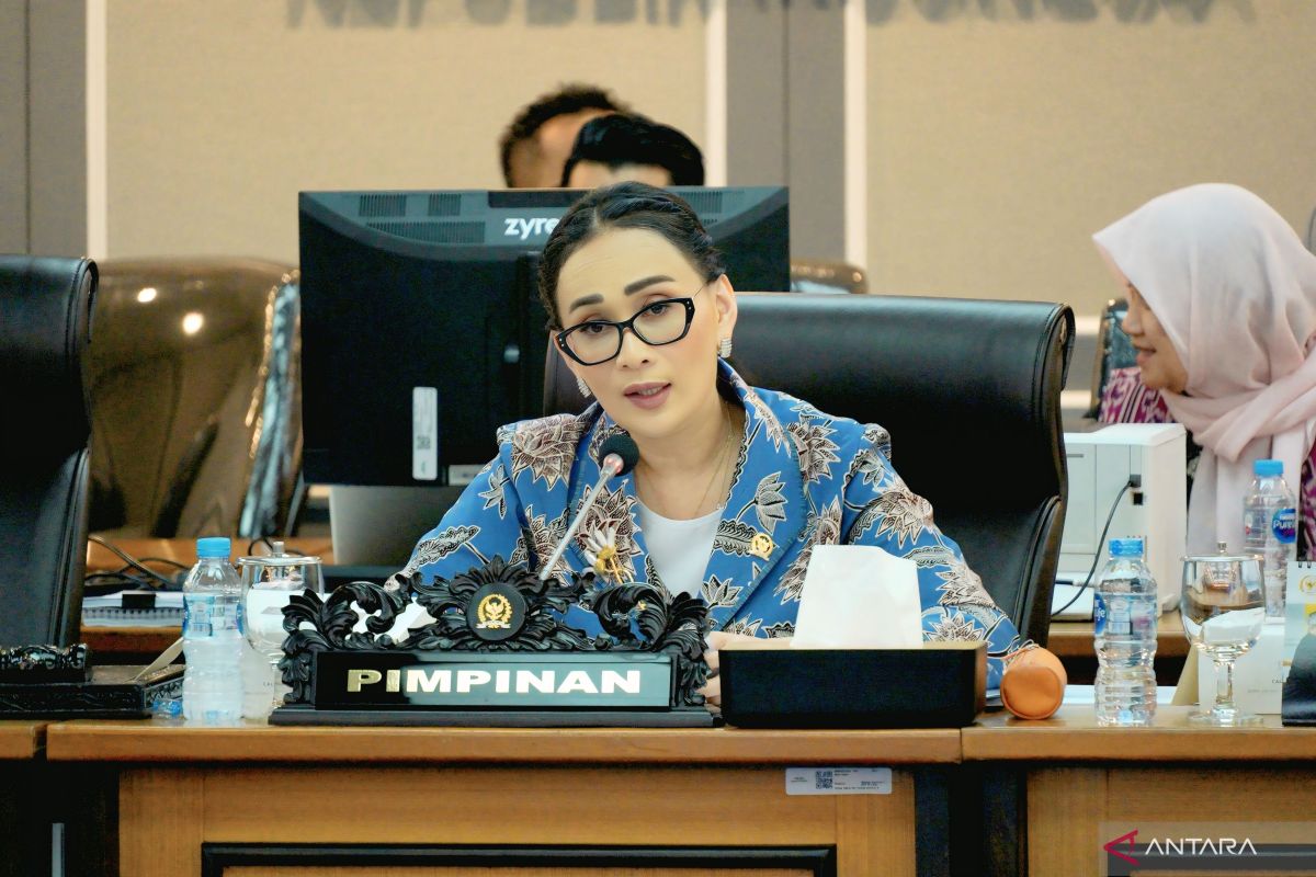 MP: Meta's Compliance with PP Tunas Proves Komdigi's Efforts Yield Results